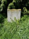 image of grave number 54072